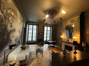 Splendide 2 pièces 65m2 Hôtel Particulier XVII ième siècle-Centre Historique Clermont-Ferrand